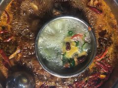 -金鼎雪山牦牛杂火锅(理县总店)