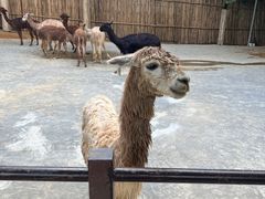 -杭州野生动物世界