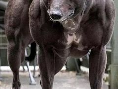 -天行健身＆天行拳馆跆拳道·格斗TXGYM