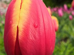 -长春公园(普阳街道)