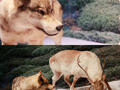 -中国湿地博物馆