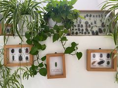 -TIENSTIENS将将(三里屯店)