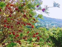 -楠溪江风景名胜区