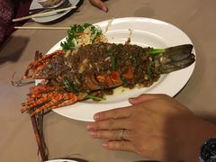 -Red Lobster