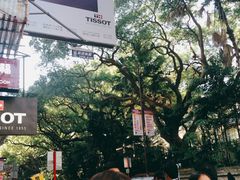 -池记(尖沙咀店)