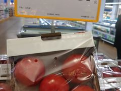 -麦德龙(十里河店)
