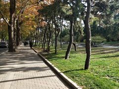 -清华大学-观畴园餐厅