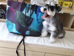 -宠福鑫康馨动物医院·骨科·眼科