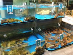 水产区-金海湾海鲜总店
