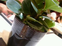 android_upload_pic-大玩家超乐场(高新万达店)