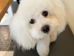 -小意思咖啡店(草桥店)