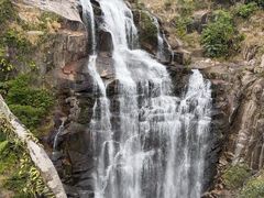 -海南热带雨林国家公园吊罗山景区