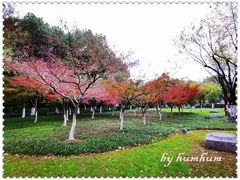 景点-明故宫遗址公园