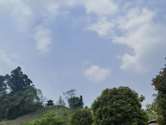 -都江堰玫瑰花溪谷