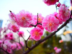 -天鹅湖体育公园