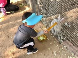 -上美四季动物农场