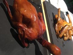 红烧乳鸽-大鸽饭(体育西路店)