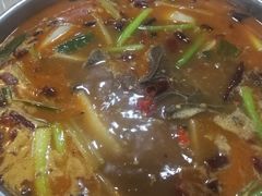 -东山羊庄(八卦岭店)