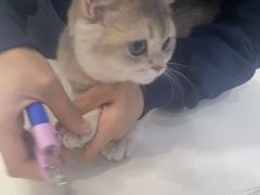 -全心全意连锁动物医院·微创中心·内科急重症·心脏专科(丰管路店)