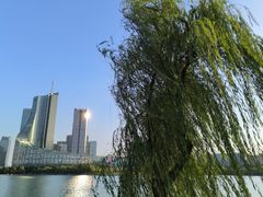 -天鹅湖体育公园