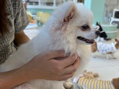 -怪兽屋·羊驼·猫咖·狗咖(俊华广场店)