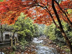 -姑婆山旅游区