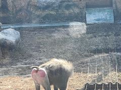 -济南野生动物世界