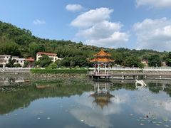 -红山村