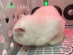 -FAELING PETS美天灵宠物(富力广场店)