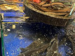 -高佳庄·海鲜酒楼(定海店)