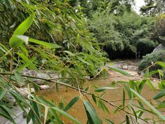 -悦真雅院·四合院·清真私房菜(雍和宫店)