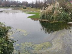 -贵阳市花溪国家城市湿地公园