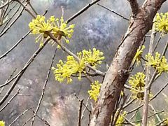 android_upload_pic-云台山风景名胜区