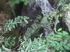 -藏龙百瀑风景区