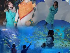-泉城欧乐堡海洋极地世界