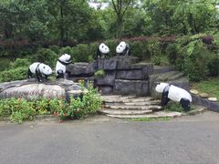 -都江堰中华大熊猫苑