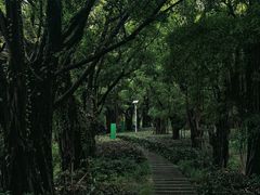 -燕晗山郊野公园
