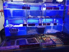 水产区-捞围鲜·港式打边炉(海阳路店)