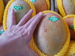 -三亚新鸿港水果一级批发市场
