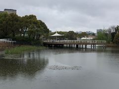 -新江湾城公园