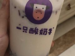 -一只酸奶牛(八一路店)