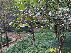 -杭州半山国家森林公园