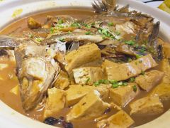 -船歌·鱼水饺青岛菜(合肥路永旺店)