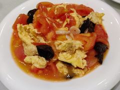 -陶然饺子城(奥体中路店)