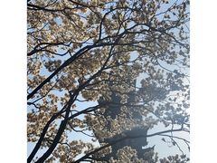 -上海方塔园
