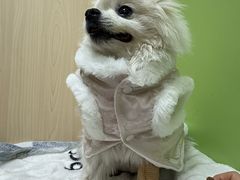 -美联众合动物医院·24h转诊中心