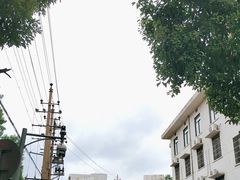 -湖南广播电视台娱乐频道