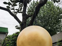 -庐灶江南·江南菜·四合院Bistro(东直门雍和宫·原华侨宾馆店)
