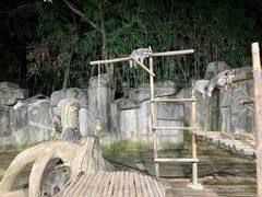 -杭州野生动物世界