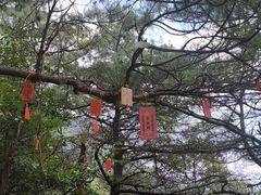 -苍山感通索道